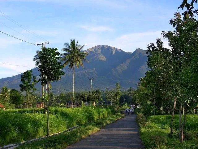 Banana Bungalows Тетебату Экстерьер фото