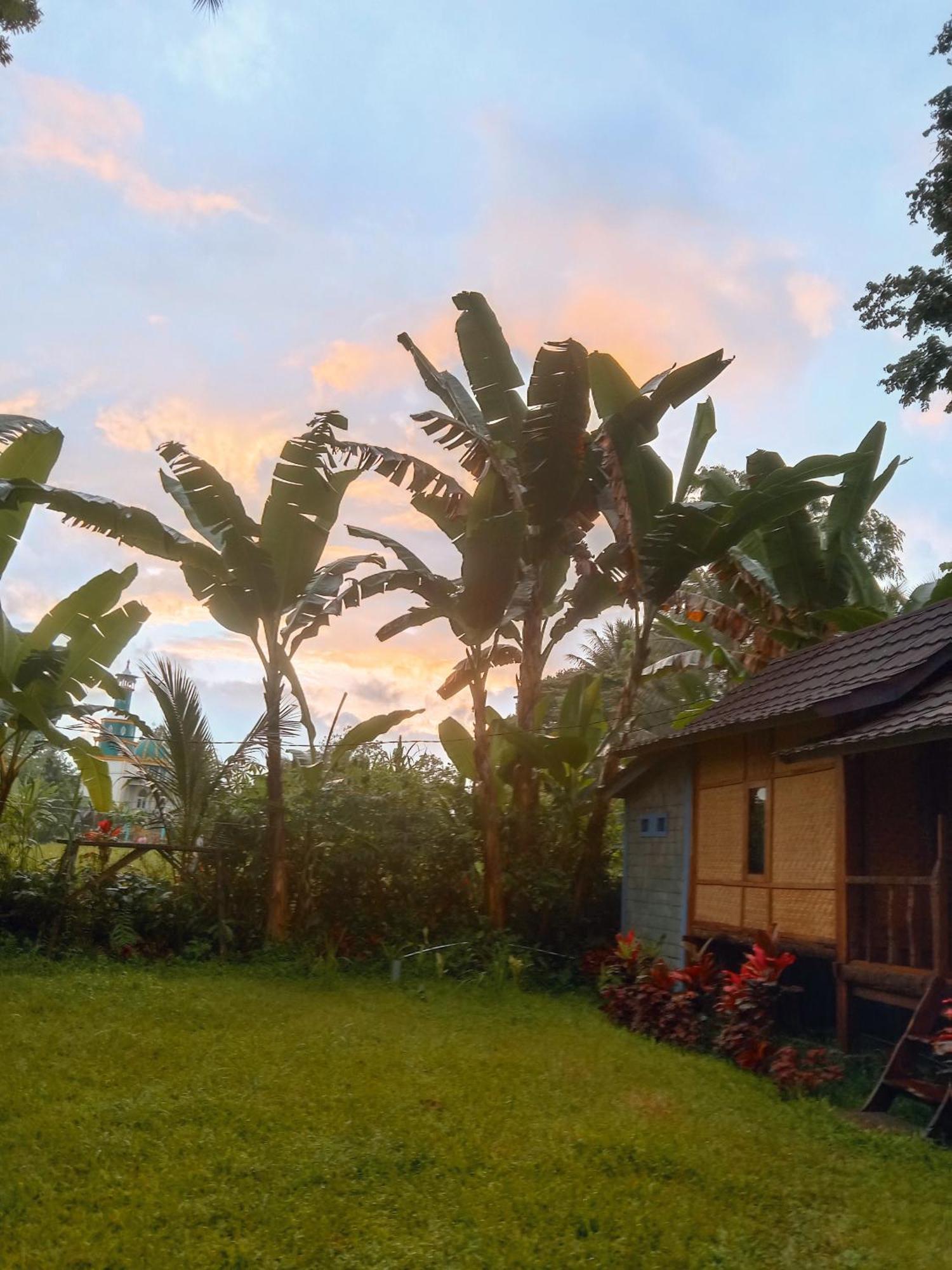 Banana Bungalows Тетебату Номер фото