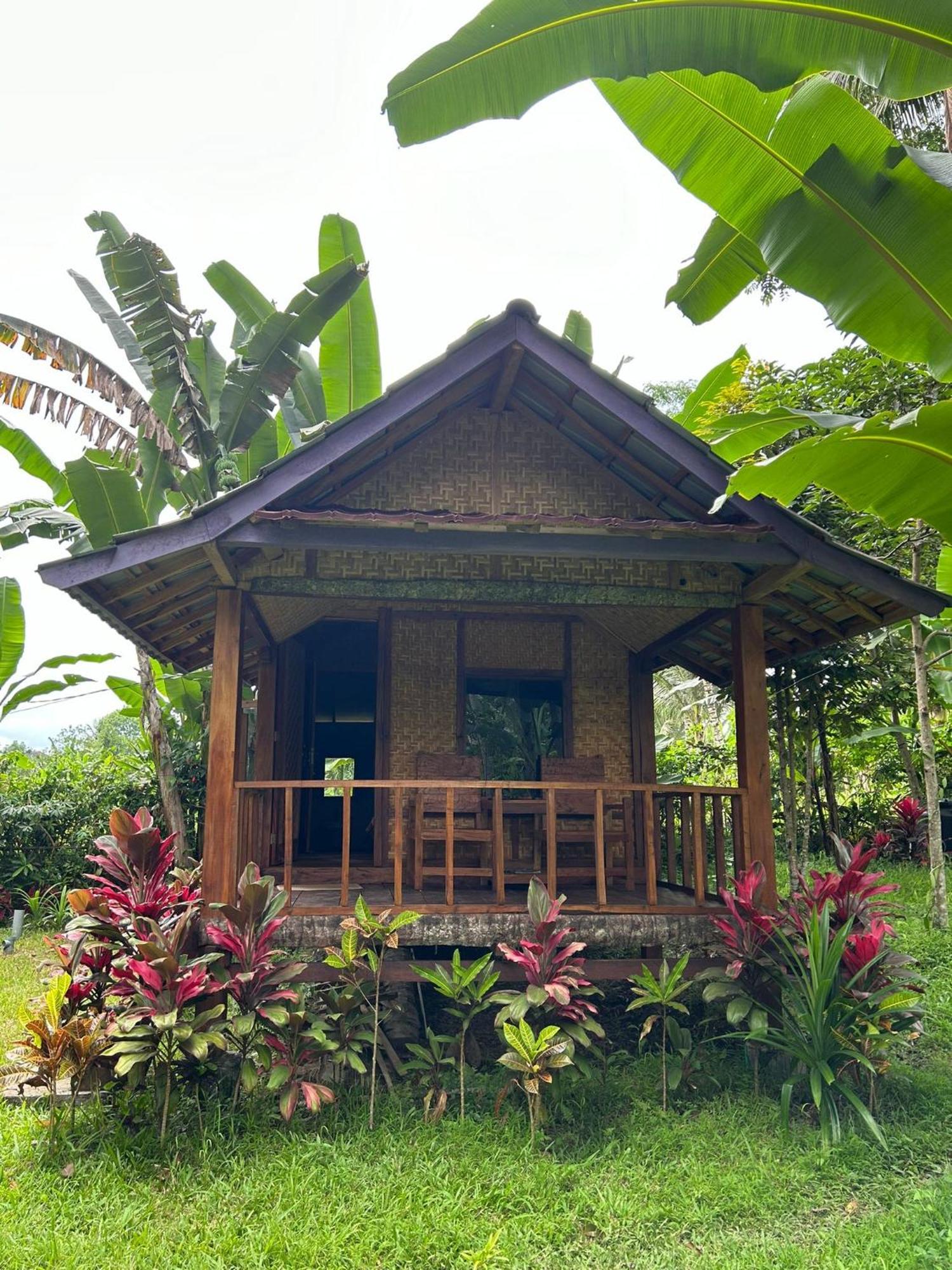 Banana Bungalows Тетебату Номер фото