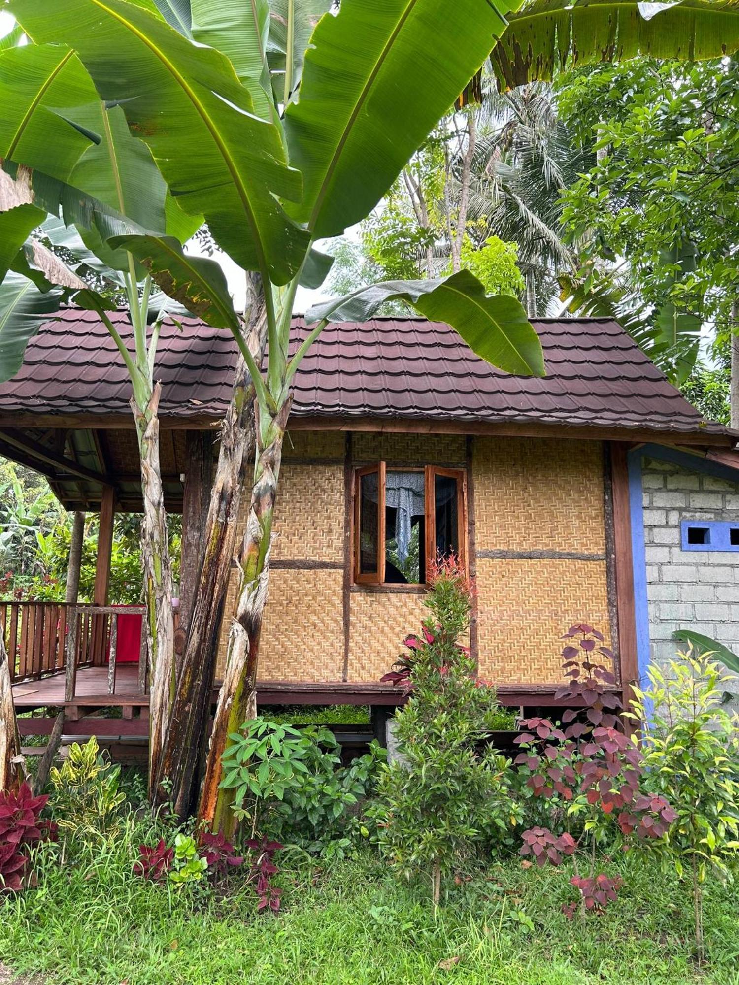 Banana Bungalows Тетебату Номер фото